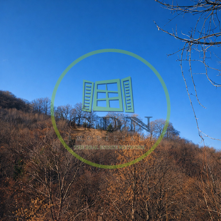 Pădure de vânzare în Scheii Brașovului 2 hectare de natură Brașov Schei