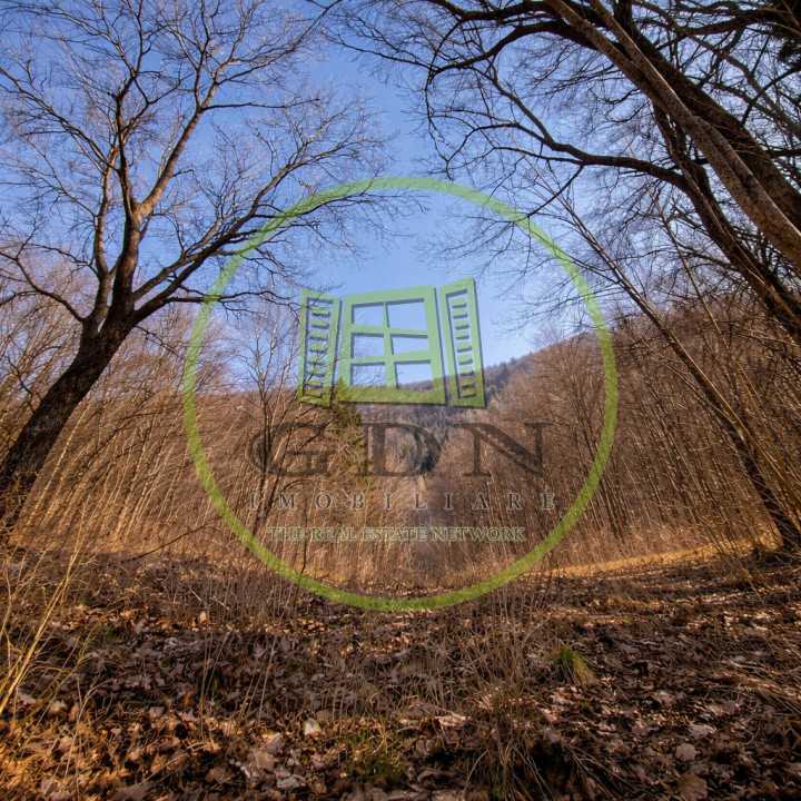 Pădure de vânzare în Scheii Brașovului 2 hectare de natură Brașov Schei