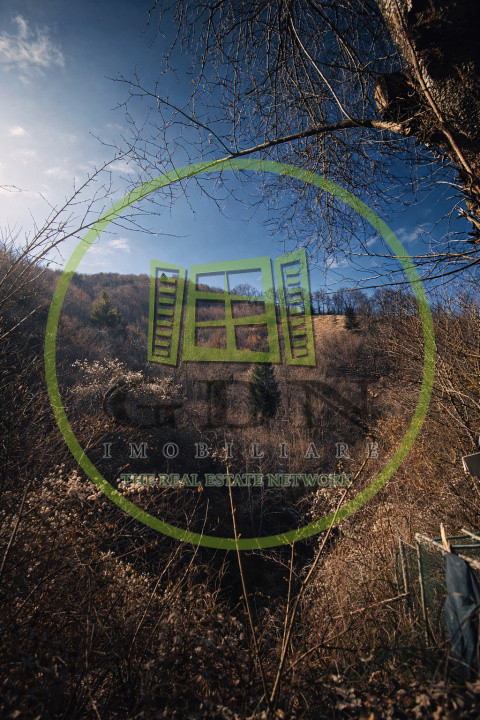 Pădure de vânzare în Scheii Brașovului 2 hectare de natură Brașov Schei