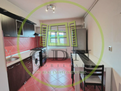 Apartament 2 camere zona Plopilor 