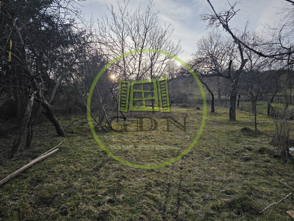 Casa de vacanta + anexe + 1000 mp gradina