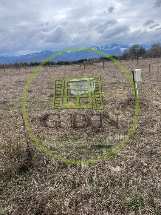 Exclusivitate! Teren intravilan, ttrifazic 44kw, urbanism, toate avizele luate!