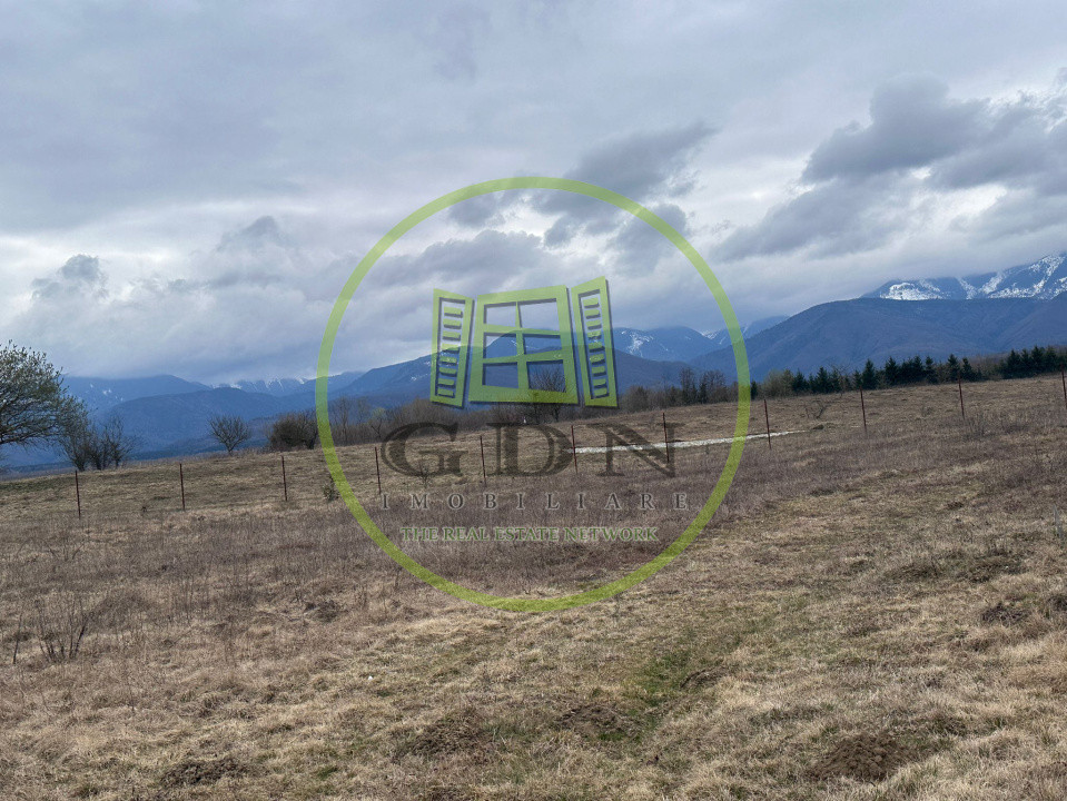 Exclusivitate! Teren intravilan, ttrifazic 44kw, urbanism, toate avizele luate!