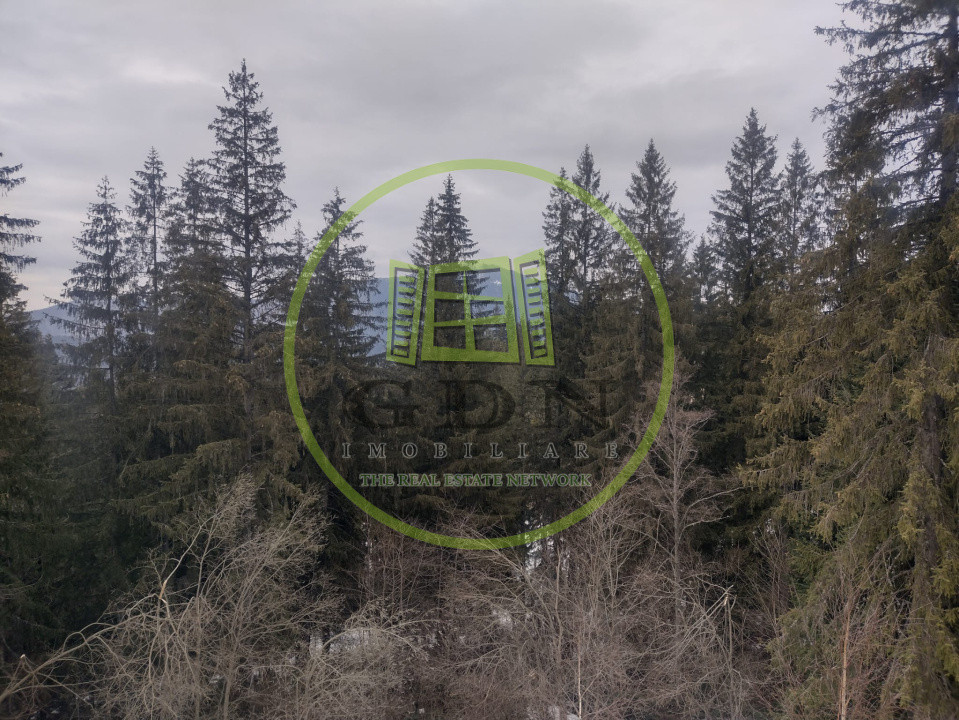 Apartament 2 camere Predeal | decomandat | zonă exclusivistă | vedere pădure