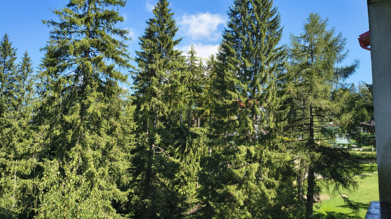 Apartament 2 camere zona Cioplea-Vedere spre Masivul Postavaru