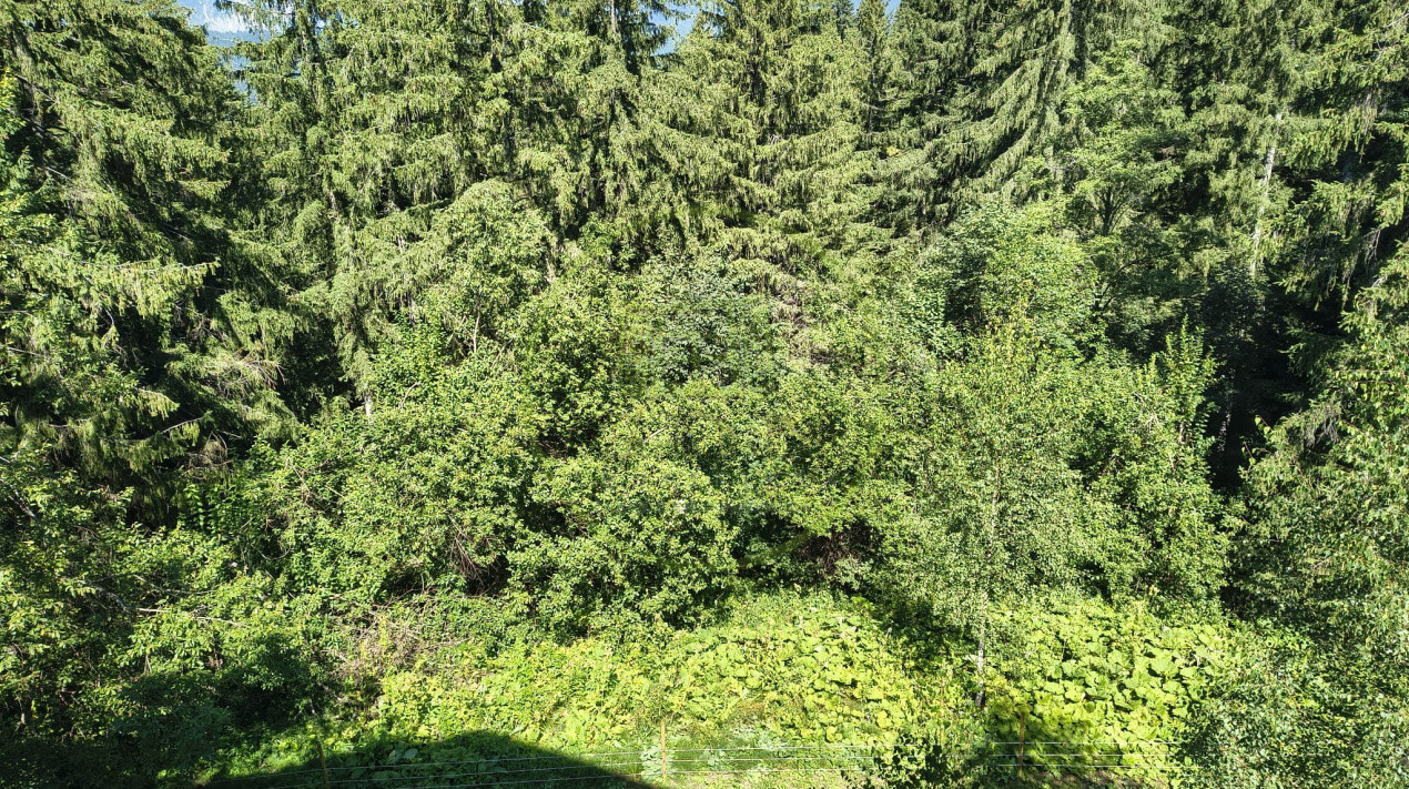 Apartament 2 camere zona Cioplea-Vedere spre Masivul Postavaru