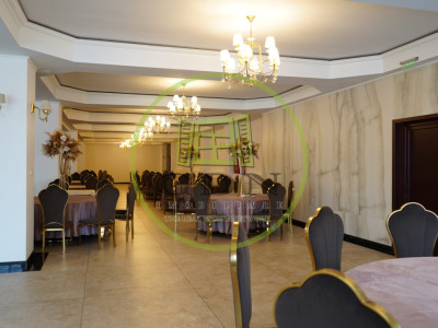 Vânzare  Business! INVESTITIE PREMIUM! GRAND HOTEL DUMBRAVA!