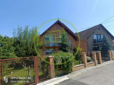 Casă -vilă de vânzare în Reghin