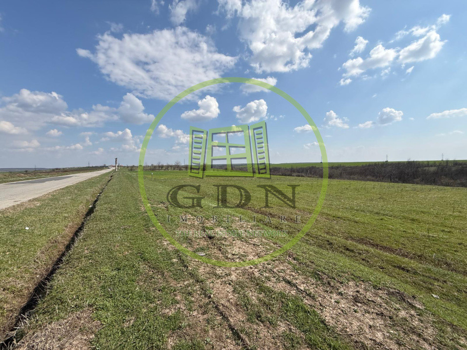 Teren intravilan 2500 mp, Bucovat