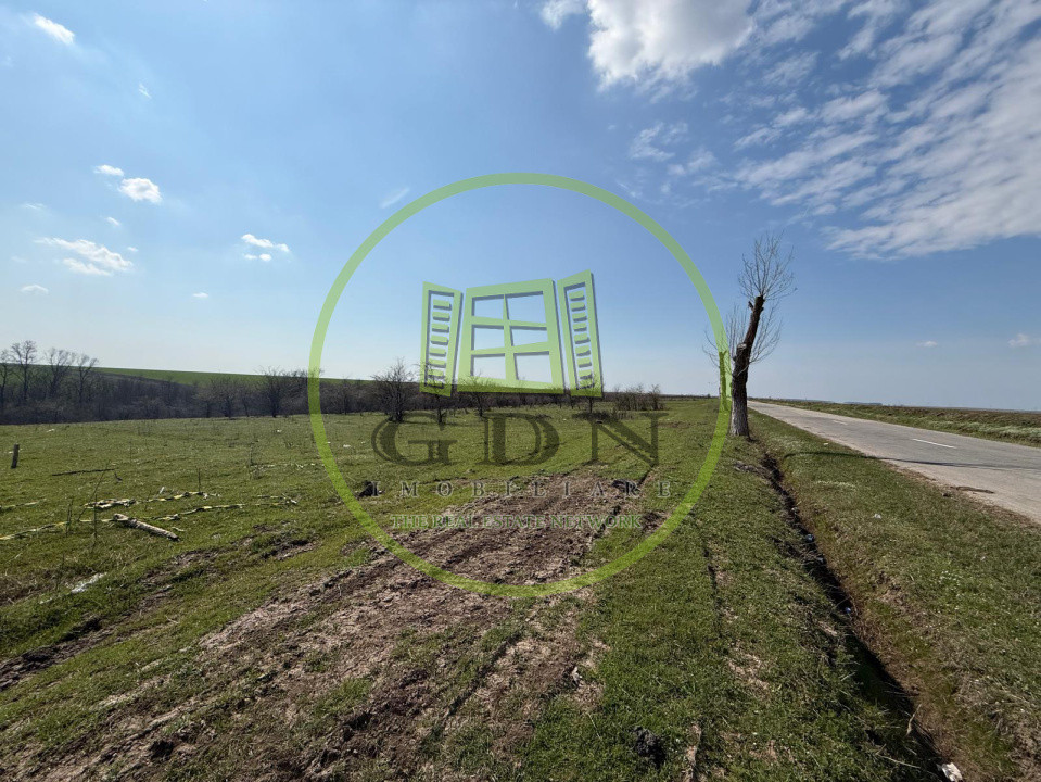 Teren intravilan 2500 mp, Bucovat