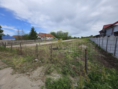 Teren intravilan, 300 mp, Carcea-Stadion