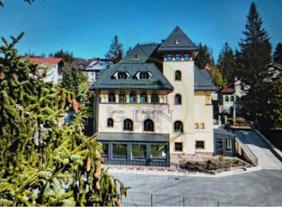 AP12 – Apartament de vacanță -Vilă istorică Neo-Românească – Predeal