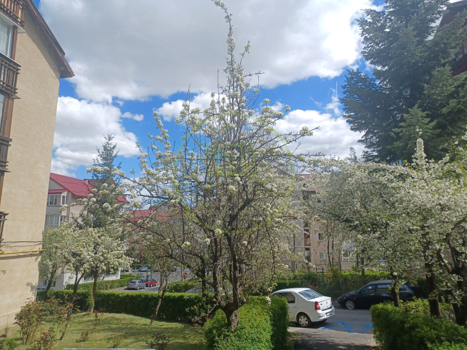 De inchiriat apartament 2 camere RACADAU