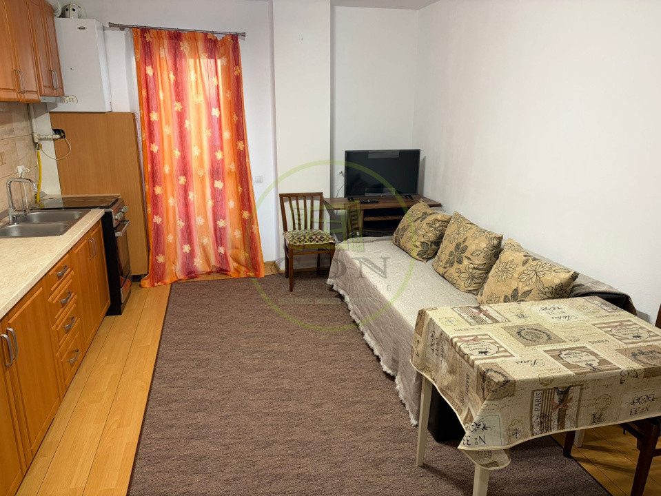 Apartament 2 camere de inchiriat-Zona Doamna Stanca