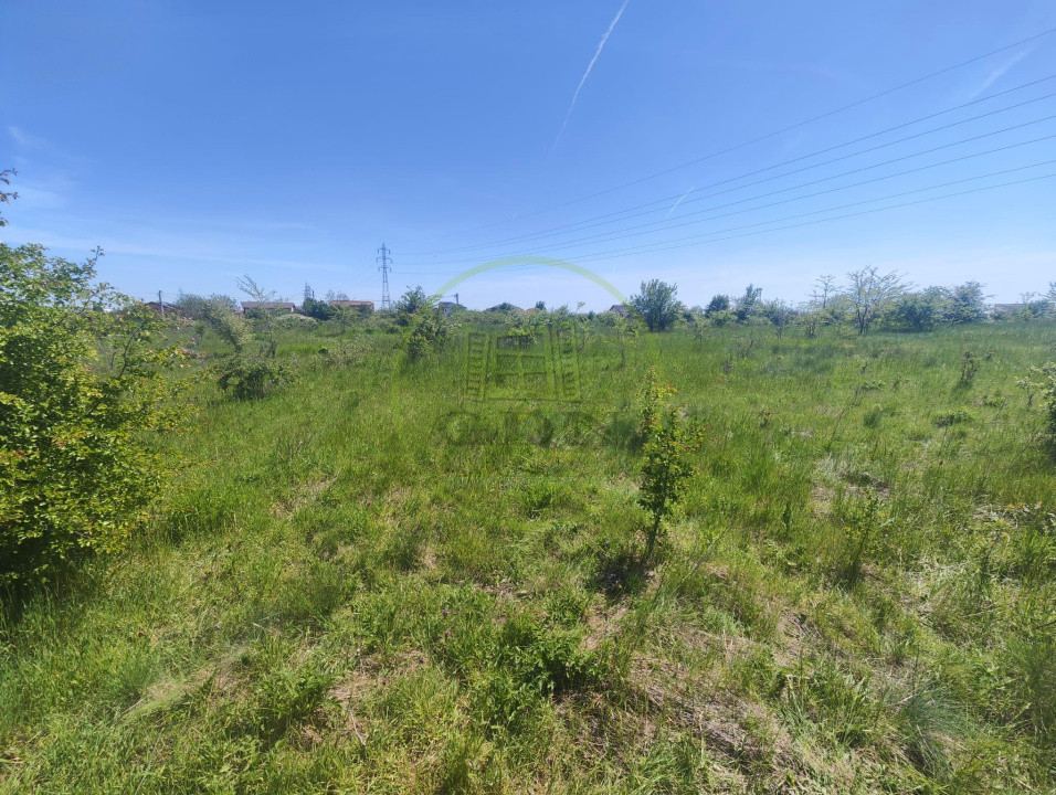 Teren intravilan, 390 MP, Malu Mare, Parcul Nicolae Romanescu