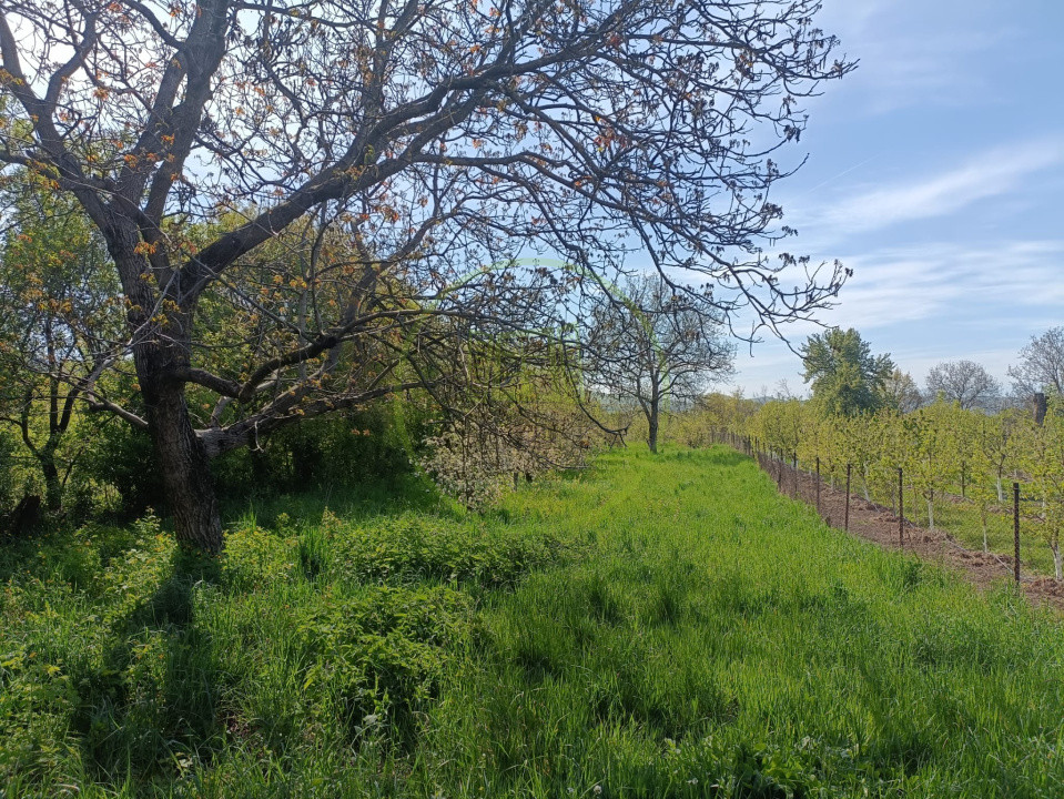 Casă de vânzare Reghin - Morăreni