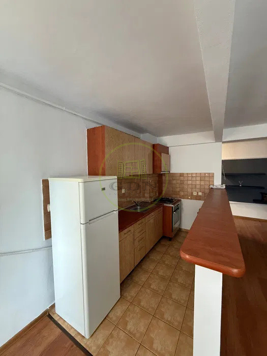 Apartament cu doua camere de inchiriat, decomandat, zona Parc Sub Arini.