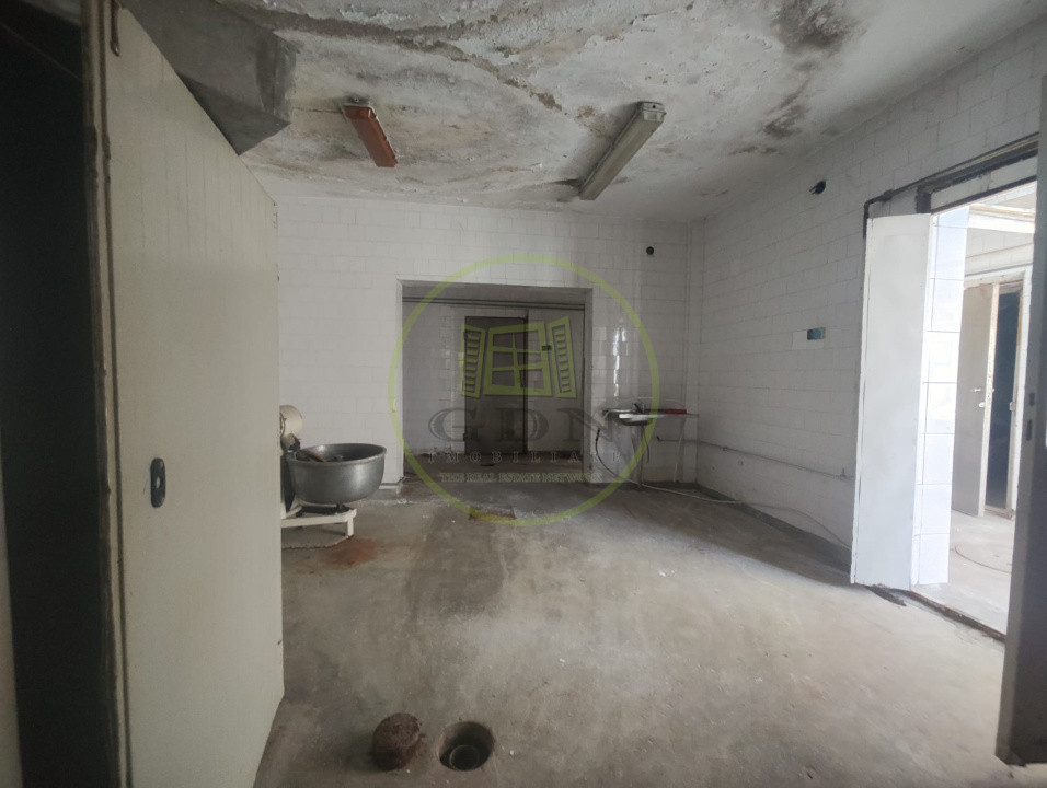 Spatiu comercial 9 camere, casa 2 camere,  teren 354 mp, Brestei.