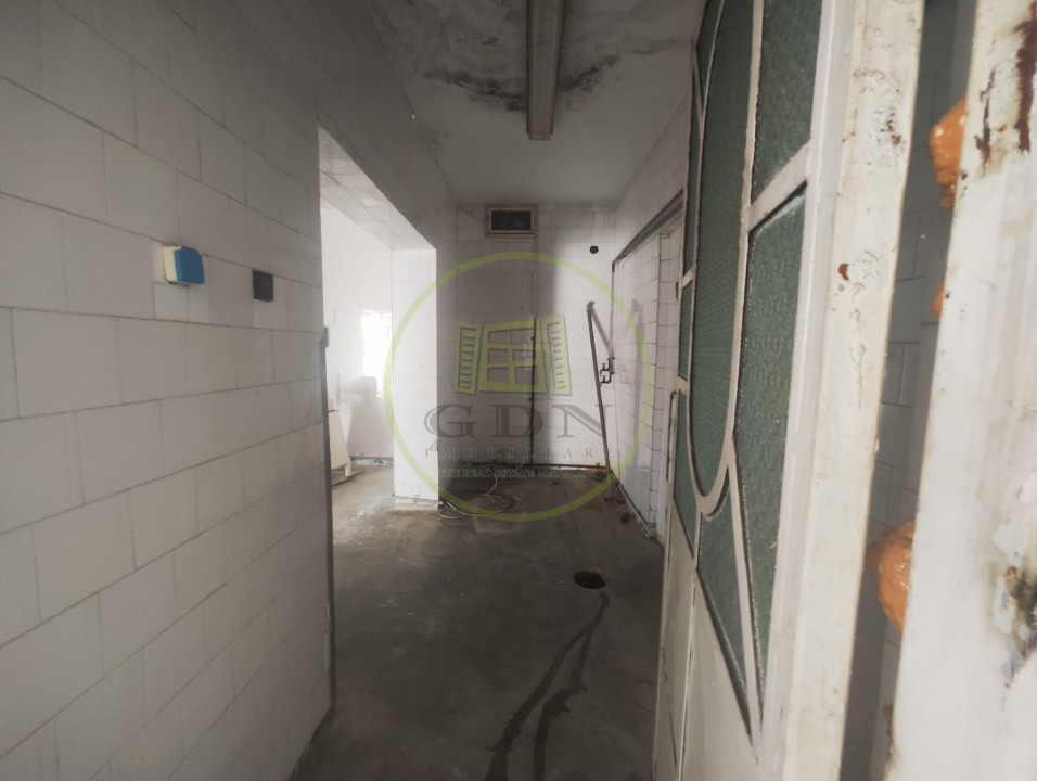 Spatiu comercial 9 camere, casa 2 camere,  teren 354 mp, Brestei.