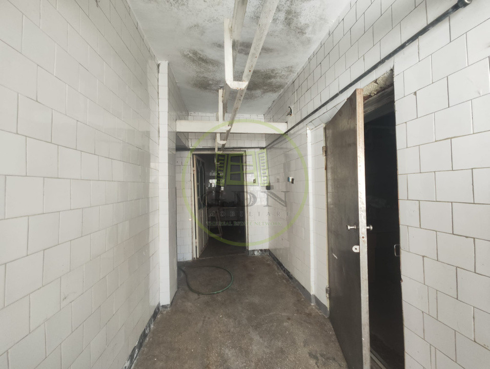 Spatiu comercial 9 camere, casa 2 camere,  teren 354 mp, Brestei.