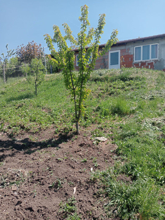 Casă tip studio de închiriat – Șura Mare | 36 mp | Priveliste superbă