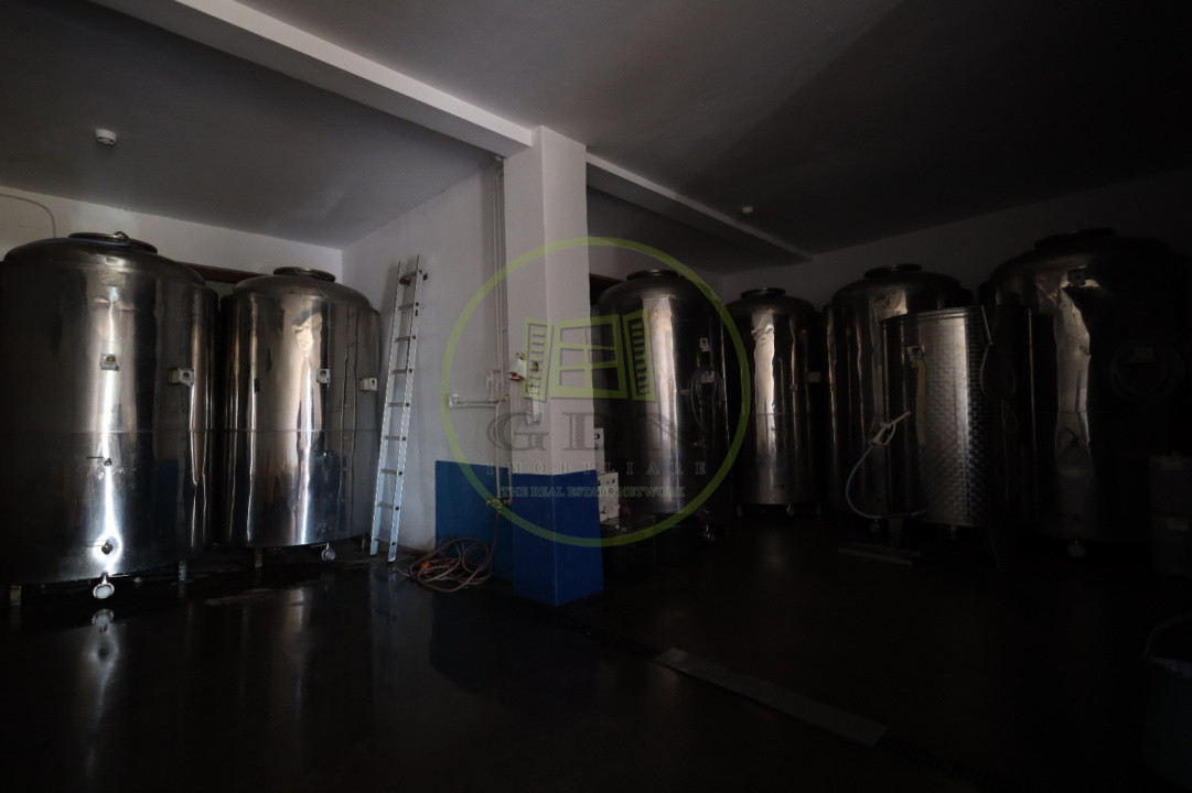 🍷 Oportunitate unică de investiție în inima Transilvaniei! Crama Mugurel!