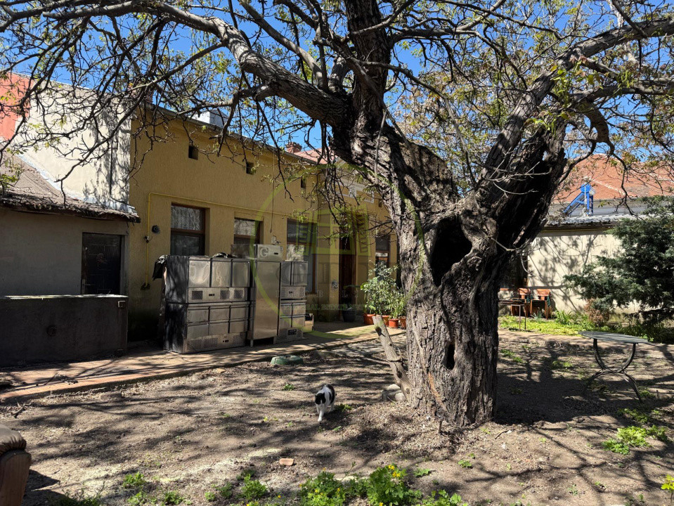 Casa plan parter, 531 mp teren, 152 mp utili, zona Centrala