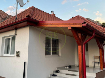 Casa individuală de vânzare 