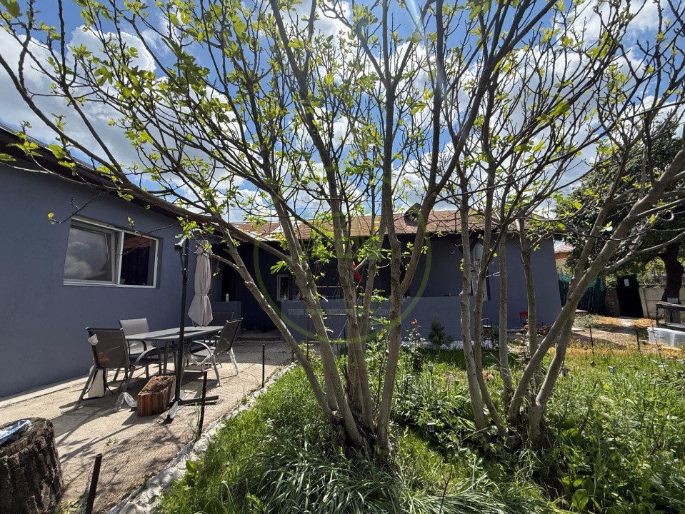 Casa plan parter, 566 mp teren, 131 mp utili, Pielesti-Centru