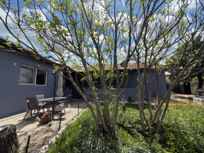 Casa plan parter, 566 mp teren, 131 mp utili, Pielesti-Centru