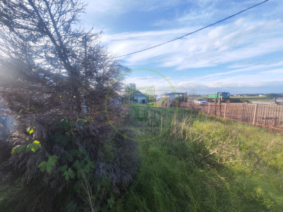 Teren 2000 mp, Balta Verde, zona Dumagas