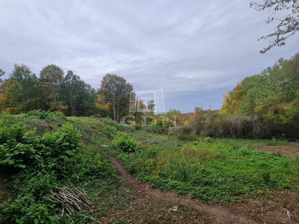 Teren de vanzare - Satu Nou de Jos-vedere panoramica