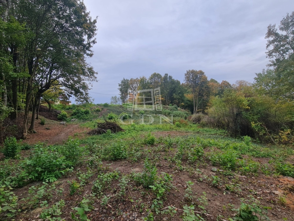 Teren de vanzare - Satu Nou de Jos-vedere panoramica