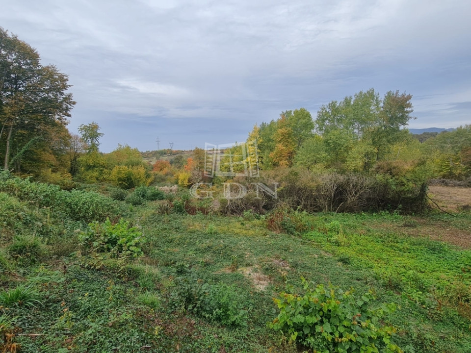 Teren de vanzare - Satu Nou de Jos-vedere panoramica