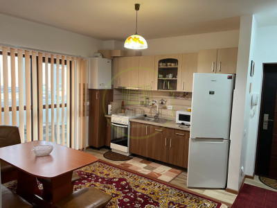 2 Camere Doamna Stanca – Modern, Parter, Parcare Privată