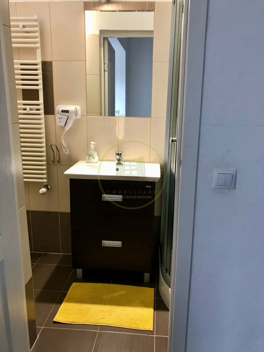 Apartament 1 Camera de inchiriat zona Centrala