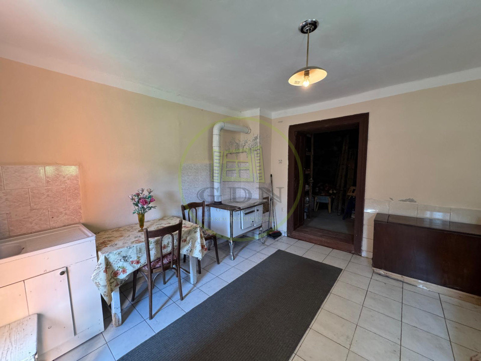Ofertă de vânzare casă cu 5 camere + teren 4500 mp., Ocoliș
