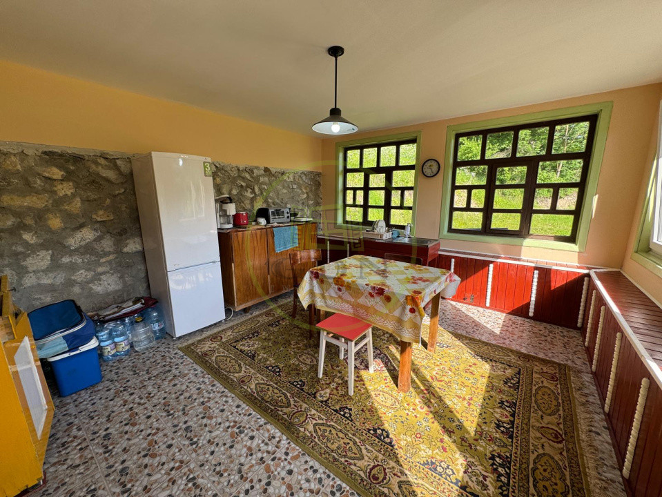 Ofertă de vânzare casă cu 5 camere + teren 4500 mp., Ocoliș