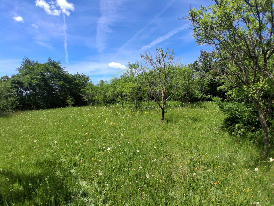 Ofertă de vânzare teren de 2700 mp., sat Popești