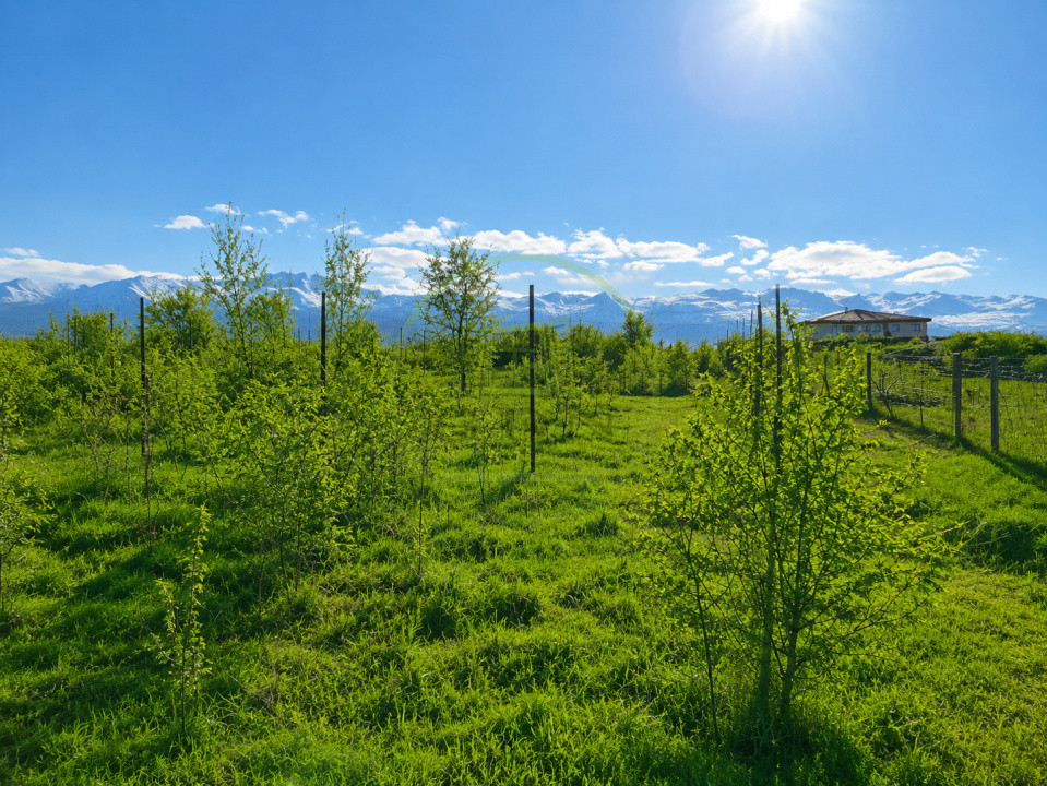 🌿 Alege astăzi locul în care se dezvoltă comunitatea de mâine