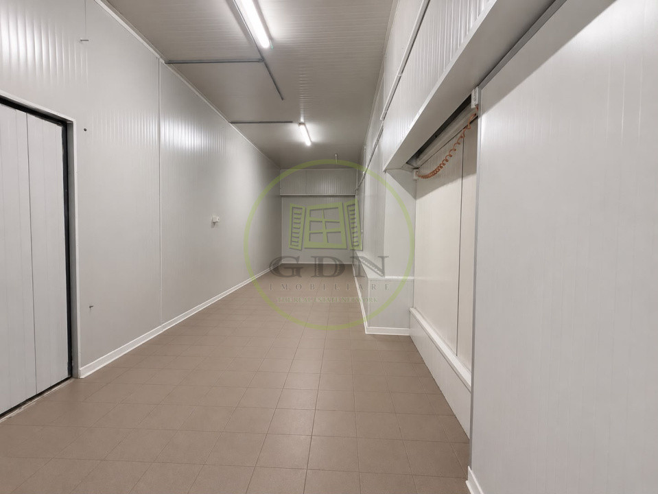 Hala Productie, 1522 mp, Cartier Rovine, zona Lidl 