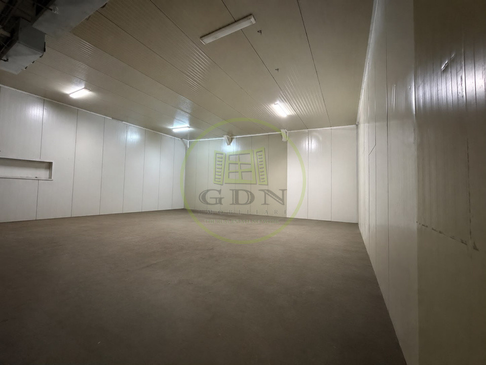 Hala Productie, 1522 mp, Cartier Rovine, zona Lidl 