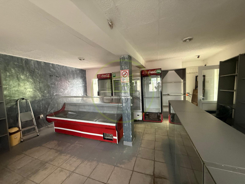 Casa plan parter, 462 mp, 100 mp utili, Brestei, zona Ambassador