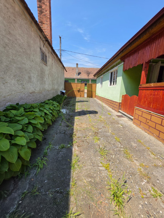 Casa la tara, Apoldul de Sus, 4 camere dormitoare, anexe, pivnita, teren 1200 mp