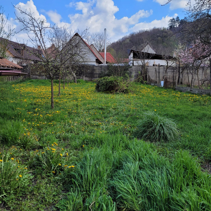 Casa la tara, Apoldul de Sus, 4 camere dormitoare, anexe, pivnita, teren 1200 mp