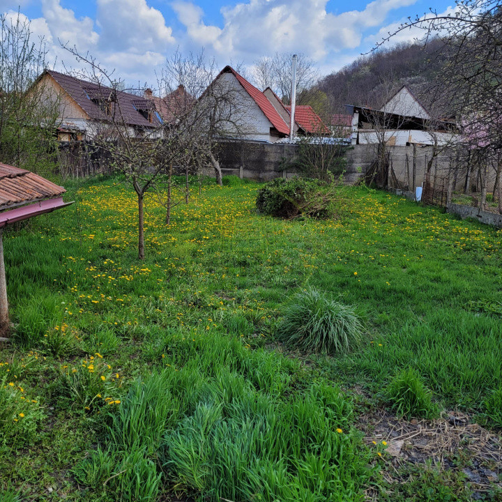 Casa la tara, Apoldul de Sus, 4 camere dormitoare, anexe, pivnita, teren 1200 mp
