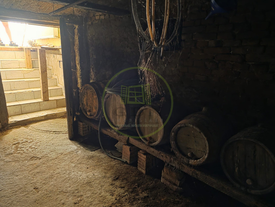 Casa la tara, Apoldul de Sus, 4 camere dormitoare, anexe, pivnita, teren 1200 mp