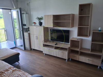 Închiriere apart. cu 3 camere, Mănăștur/Frunzișului