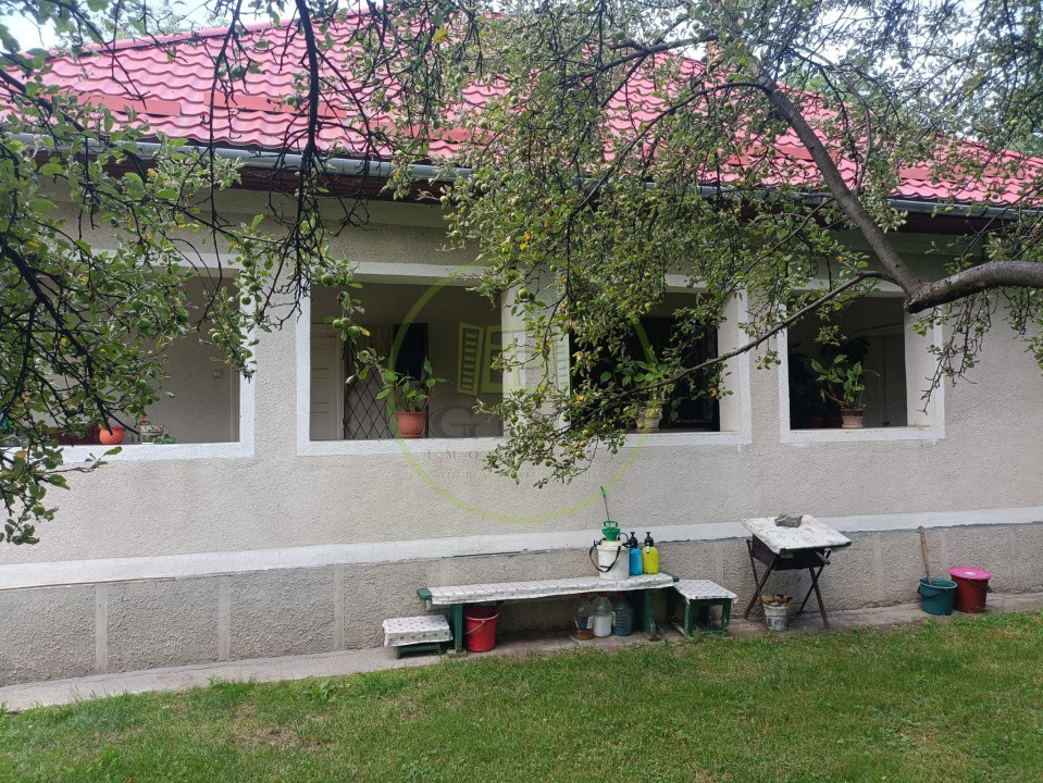 Casă de vânzare Ibănesți sat cu teren aferent de 4500 mp