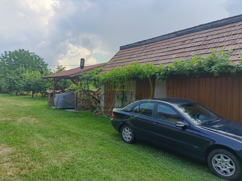 Casă de vânzare Ibănesți sat cu teren aferent de 4500 mp
